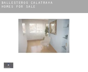 Ballesteros de Calatrava  homes for sale